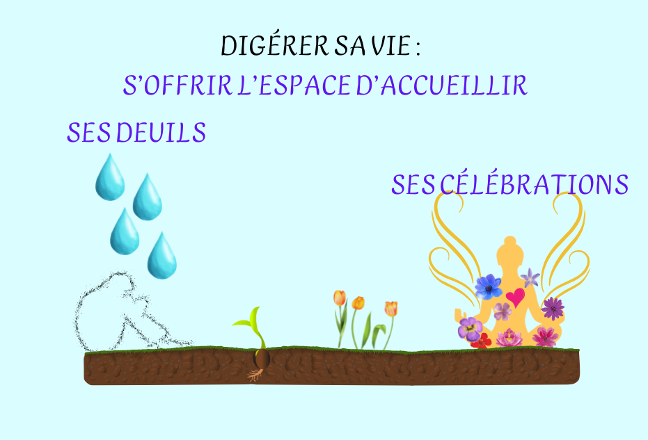 image Digérer sa vie site